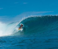 Surfer Clayton